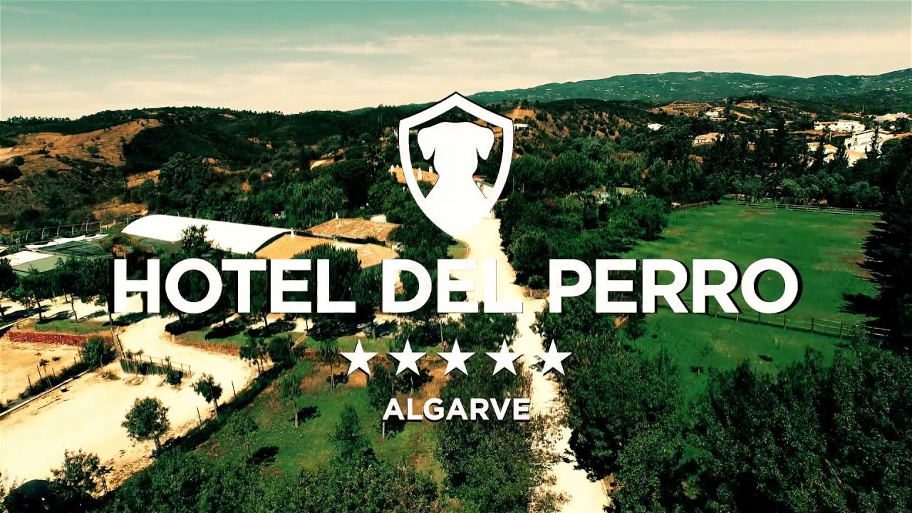 Hotel del Perro - 