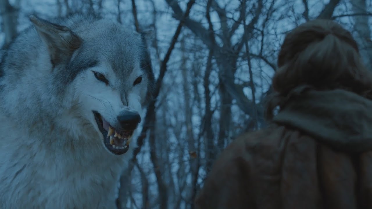 Arya Stark se reencuentra con su Lobo Huargo Nymeria | Juego de Tronos Espa&ntilde;ol HD