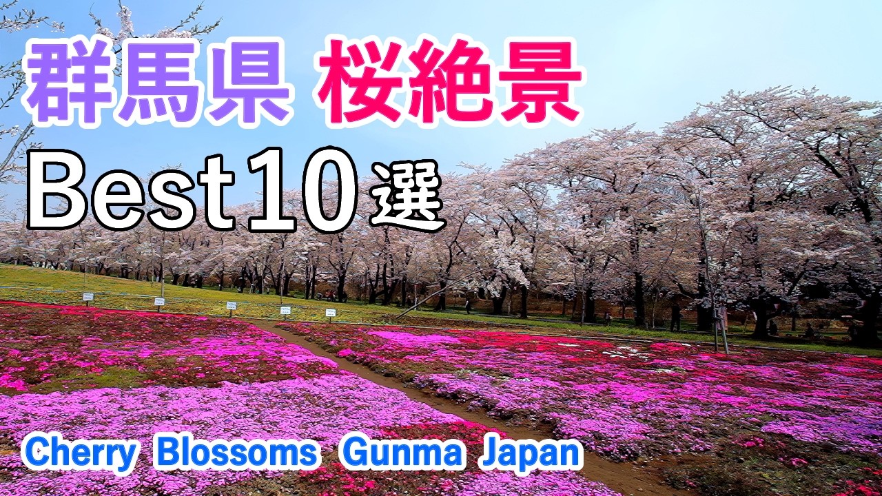 群馬県の桜絶景ベスト10選！ / 前橋公園・赤城南面千本桜・桜山公園・妙義山など / 10 Best Cherry Blossom Viewing Spots in Gunma, Japan