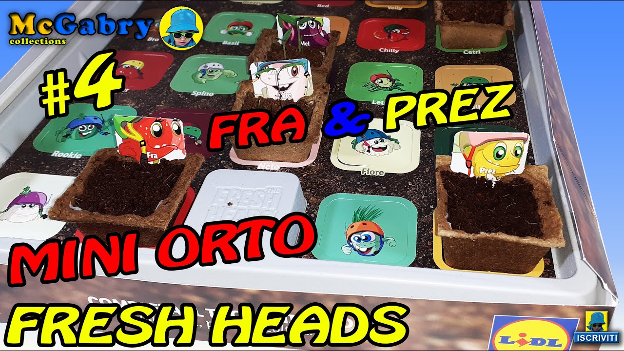 THE FRESH HEADS MINI ORTO #4 COLLEZIONE PIANTINE LIDL 2022 UNBOXING ORTO E APPLICAZIONE FRESH HEADS