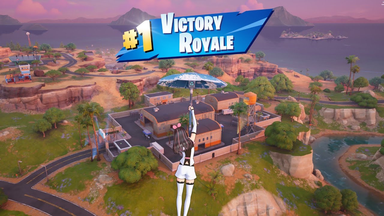 17 Kill Solo Battle Royale 