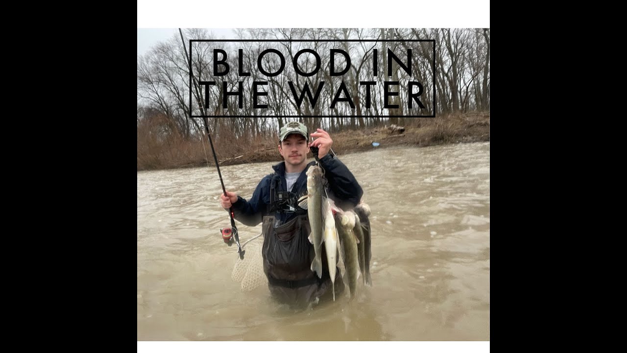 Maumee River Walleye Run (Beat Down) April 1, 2023 The walleye aren't fooling us today