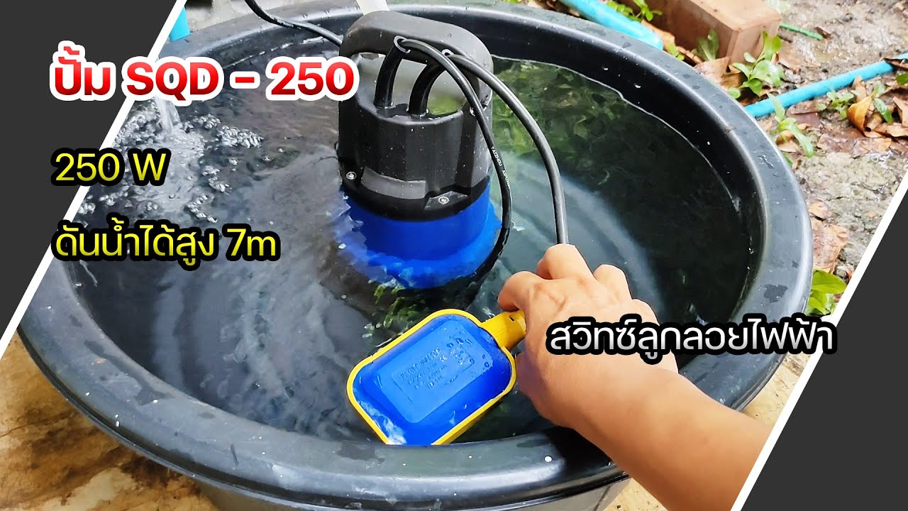 ปั้ม Lg star SQD-250 สวิทซ์ลูกลอยไฟฟ้า ปั้มแช่ ปั้มจุ่ม ไดโว่ 1 นิ้ว ตั้วเล็ก แรงดี | OHMSHOW studio