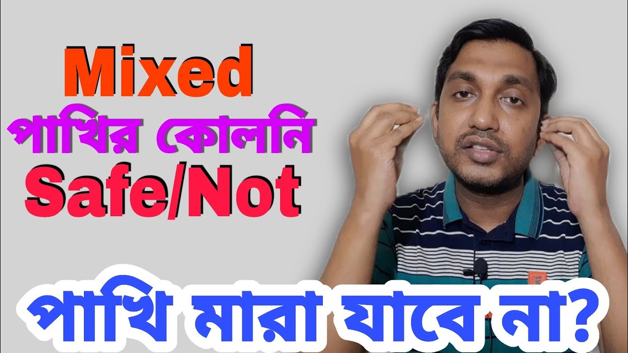 কোলনিতে কি কি পাখি পালন করা যায় | Mixed Birds Colony (V- 221)
