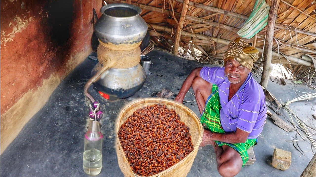 home made natural mohua wine full making process by our santali tribe grandpa||indian tribe village