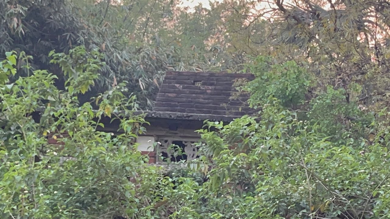 150 saal purana mandir #mandir #rammandir #hunuman #shivmandir #deoghar #puranamandir #viral #video 