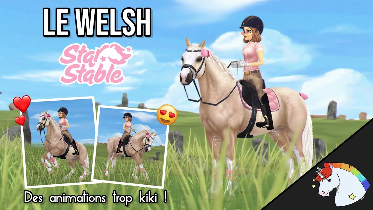 LE WELSH 🎀 - [Star Stable Online]