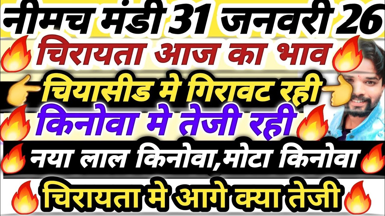 नीमच मंडी भाव। चिया भाव। नया किनोवा का भाव। चिरायता का भाव। Neemuch Mandi bhav today chirayata