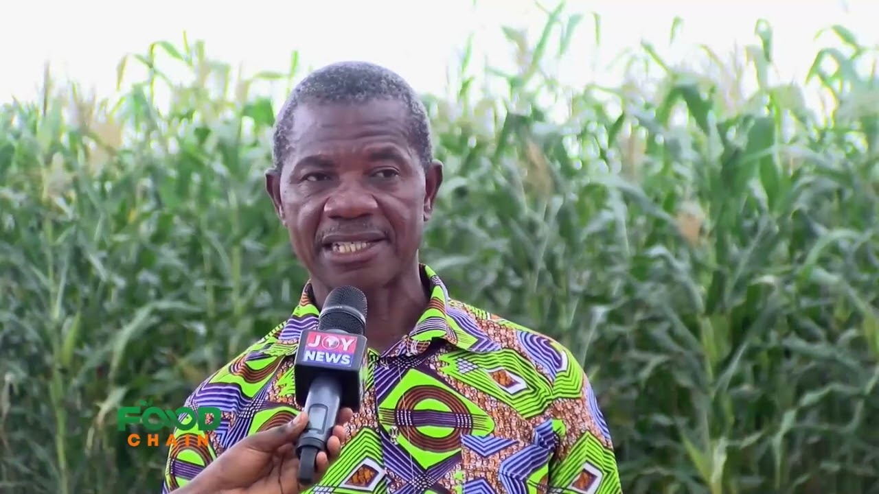Agriculture experts discuss biological methods to fight Fall armyworms in maize farms | Food Chain