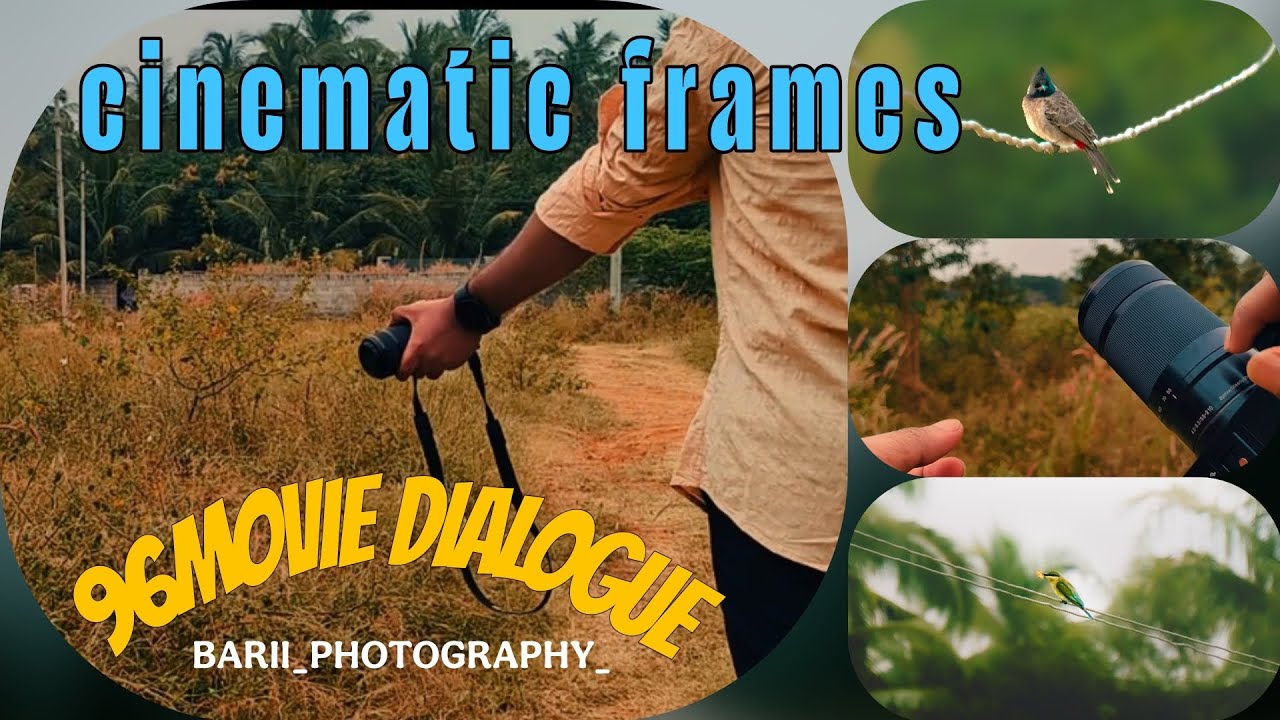 The art of framing and capture 📸 | #photography #sony #nature #96movie #birds #cinematic 