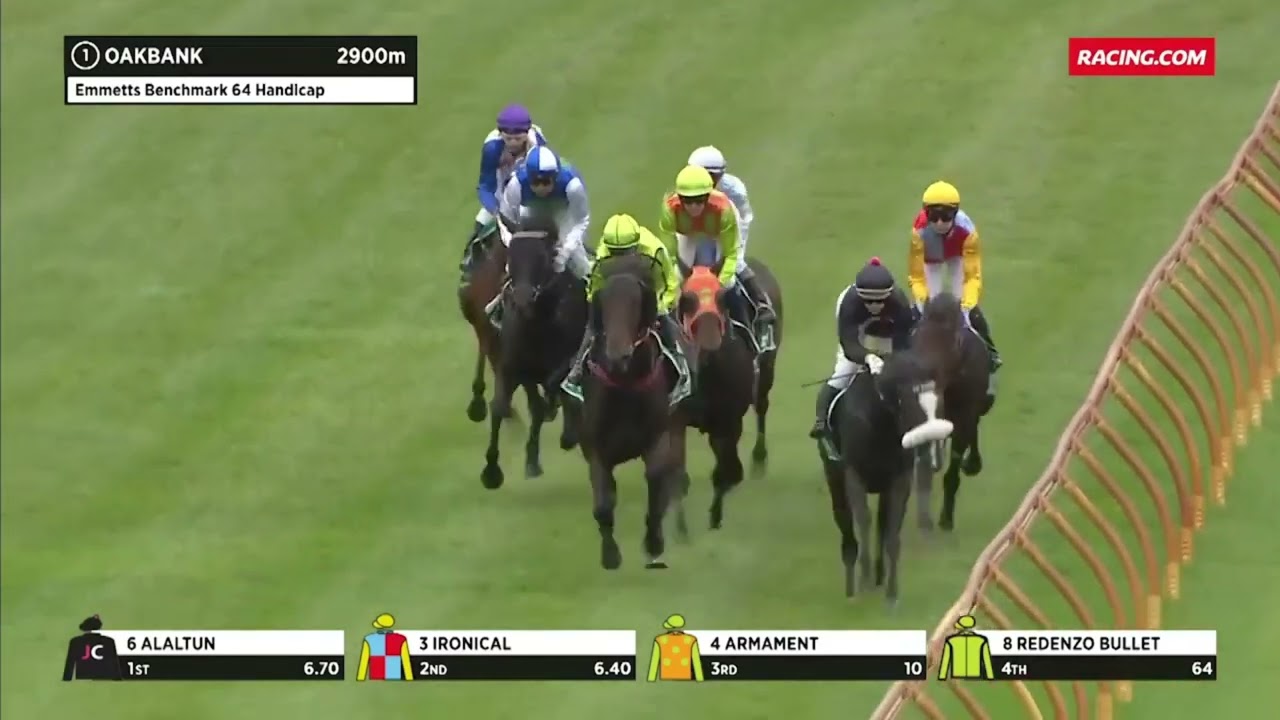 Bizarre Race at Oakbank. Plympton goes Zigzag to win!