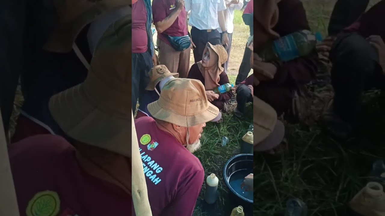 Praktek Pembuatan Pupuk Organik Cair (POC) atau Biourine dengan memanfaatkan urine sapi