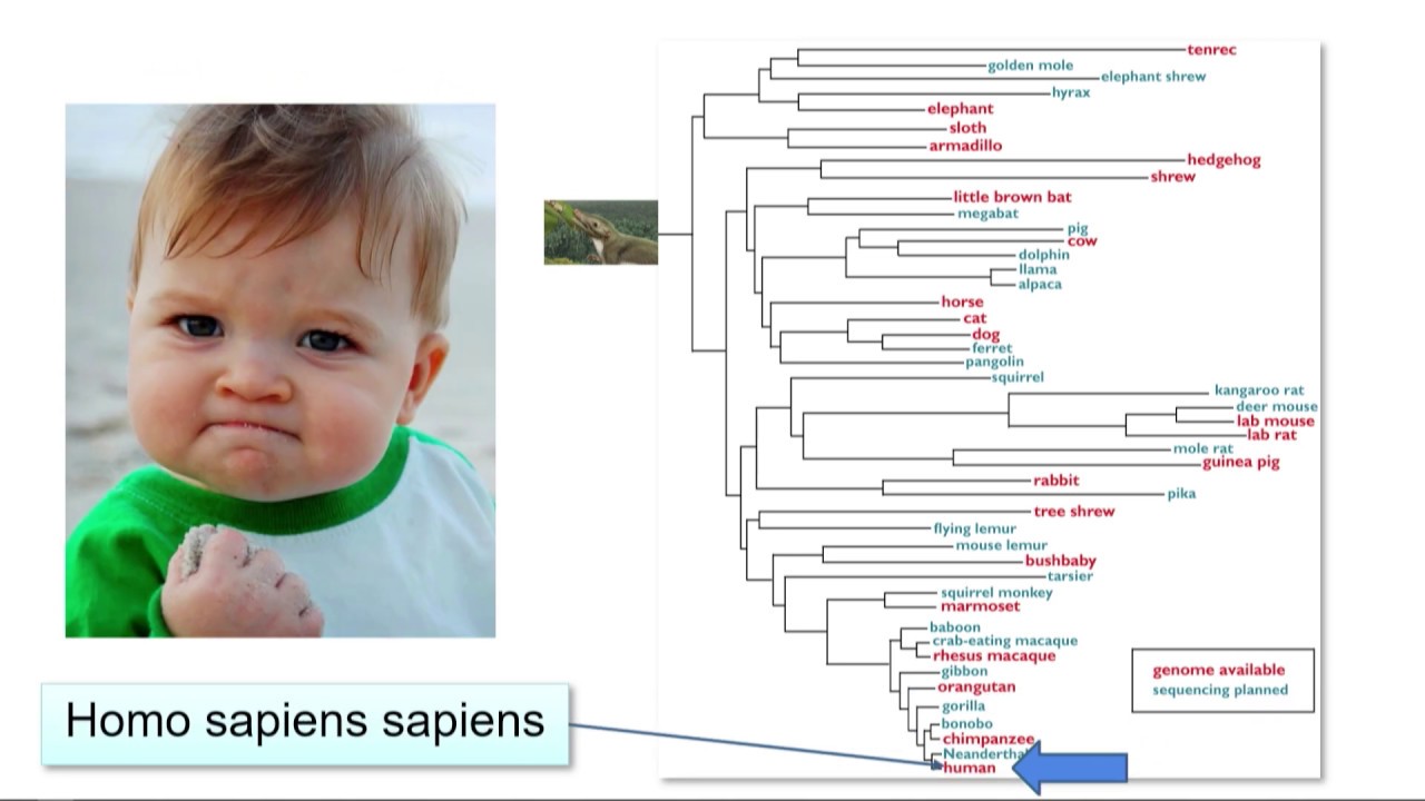David Haussler | Genomics and the Evolution of Intelligence: Breakthrough Discuss 2019
