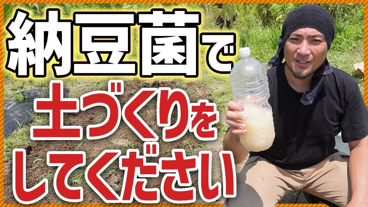 【納豆菌で土づくり！】元気な野菜は元気な土から育つ！太陽熱処理をして良質な微生物を増やそう！