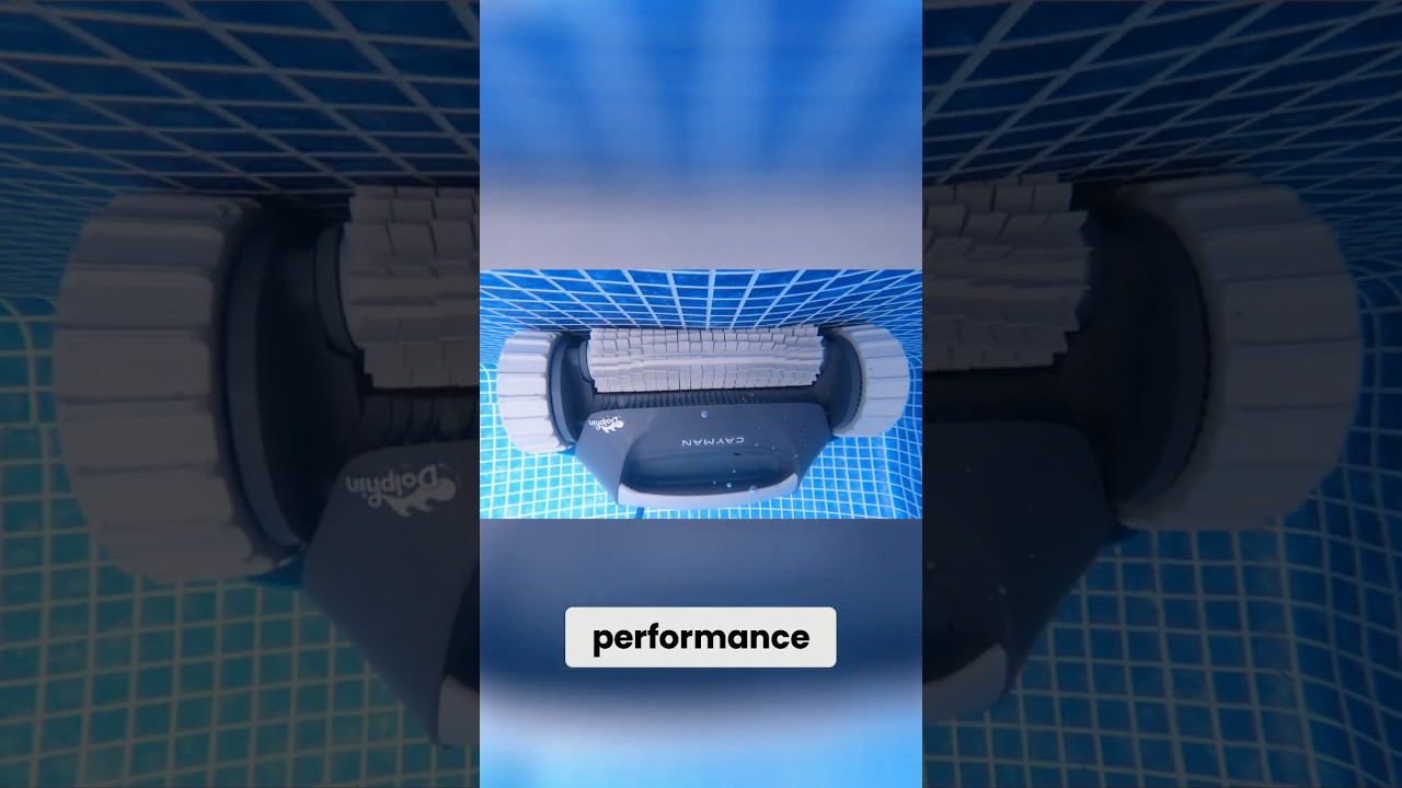 Best Value Robotic Pool Cleaner: Dolphin Cayman #poolcleaning #poolrobot