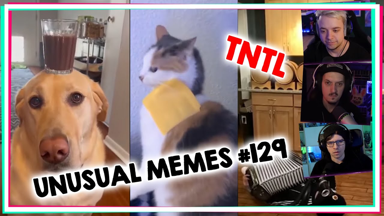 NICHTS ist niedlich & NICHTS bereitet uns Freude! UNUSUAL MEMES COMPILATION V129 [TNTL]