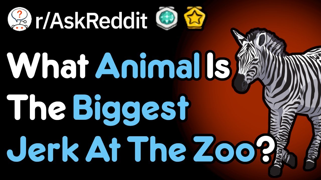 What Animal Is The Biggest Jerk? (Zoo Stories r/AskReddit)