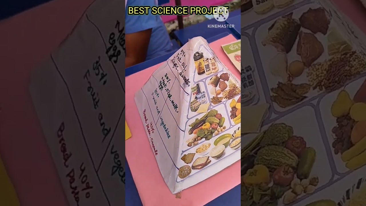 Food Science Project//Food nutritional science project//Science TLM//Science Model//Best science tlm