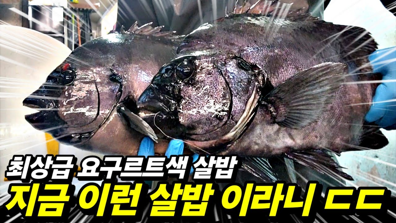 너무 찰져서 칼도 안들어 가고, 역대급 미친 살밥 !!