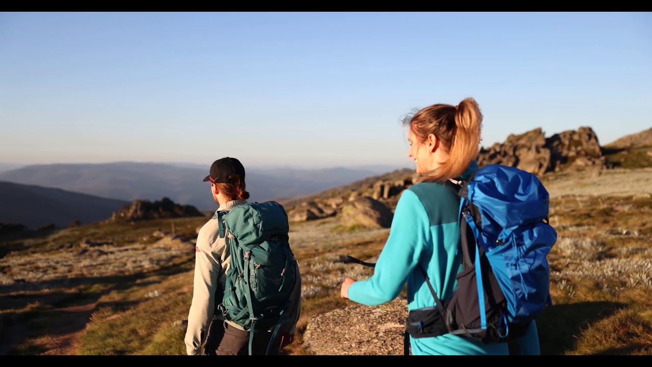 Snowy Mountains Best Hikes | Thredbo&rsquo;s Iconic Dead Horse Gap
