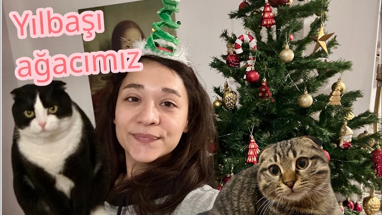 yılbaşı ağacımızı süsleyelim