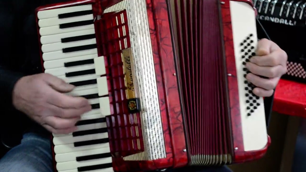 Vintage Italian Top Quality Accordion Scandalli - 48 bass, 3 switches + Shoulder Straps