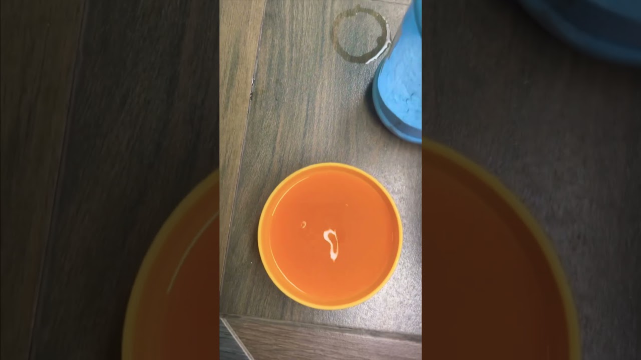 New experiment Water+turmeric and surexcel and lemon 