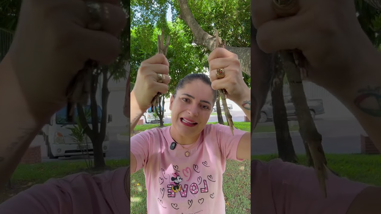 Você está sentada 