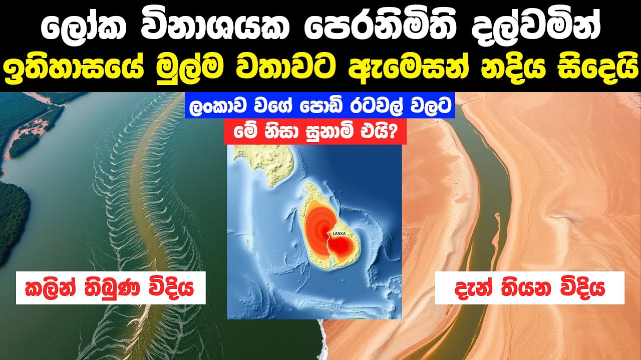 ලෝක විනාශයක පෙරනිමිති දල්වමින් ඇමෙසන් ගඟ සිදෙයි | Amazon River Drought