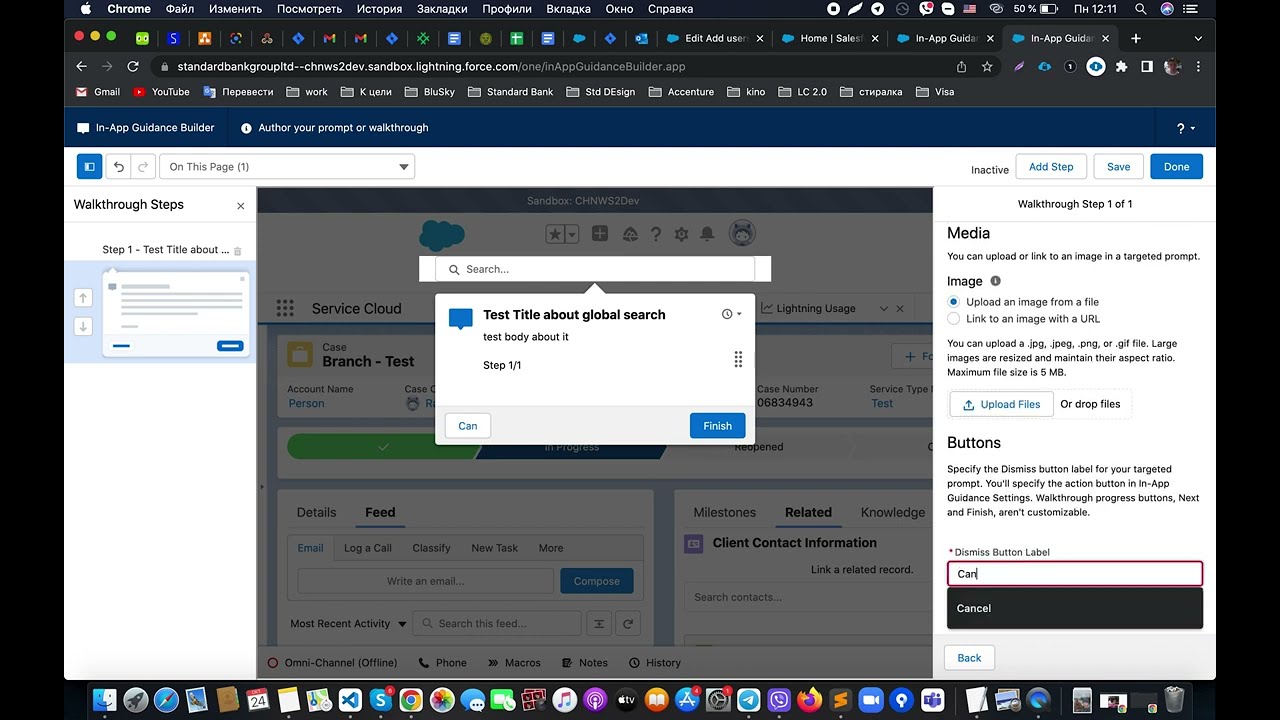 Salesforce In-app guide