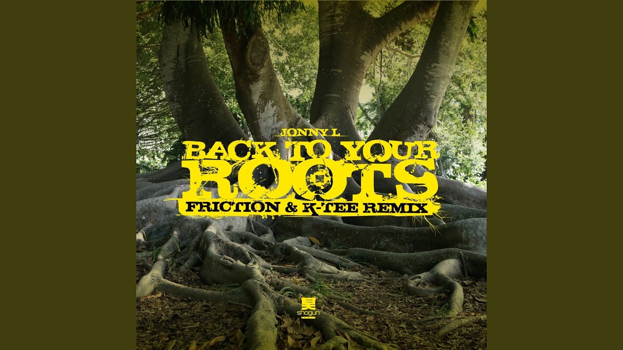 Back to Your Roots (Friction & K-Tee Remix)