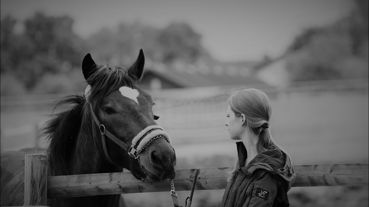 Mein Pferd Caruso ist tot †😭