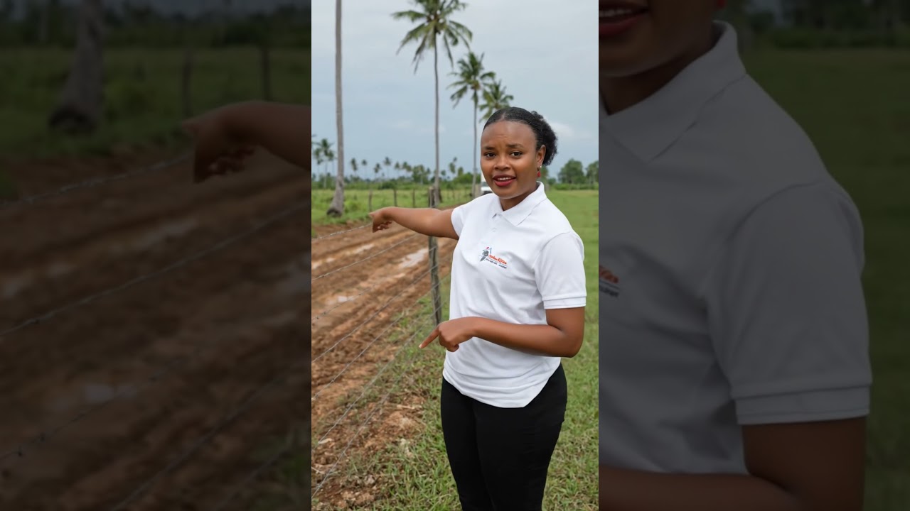 A site visit gives you clarity, confidence, and a true sense of the opportunity 