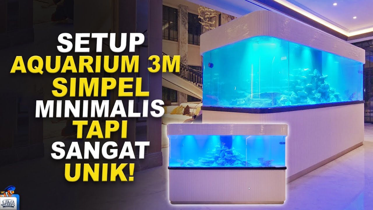 SETUP AKUARIUM LAUT 3 METER! REEF TANK AESTHETIC DAN UNIK!