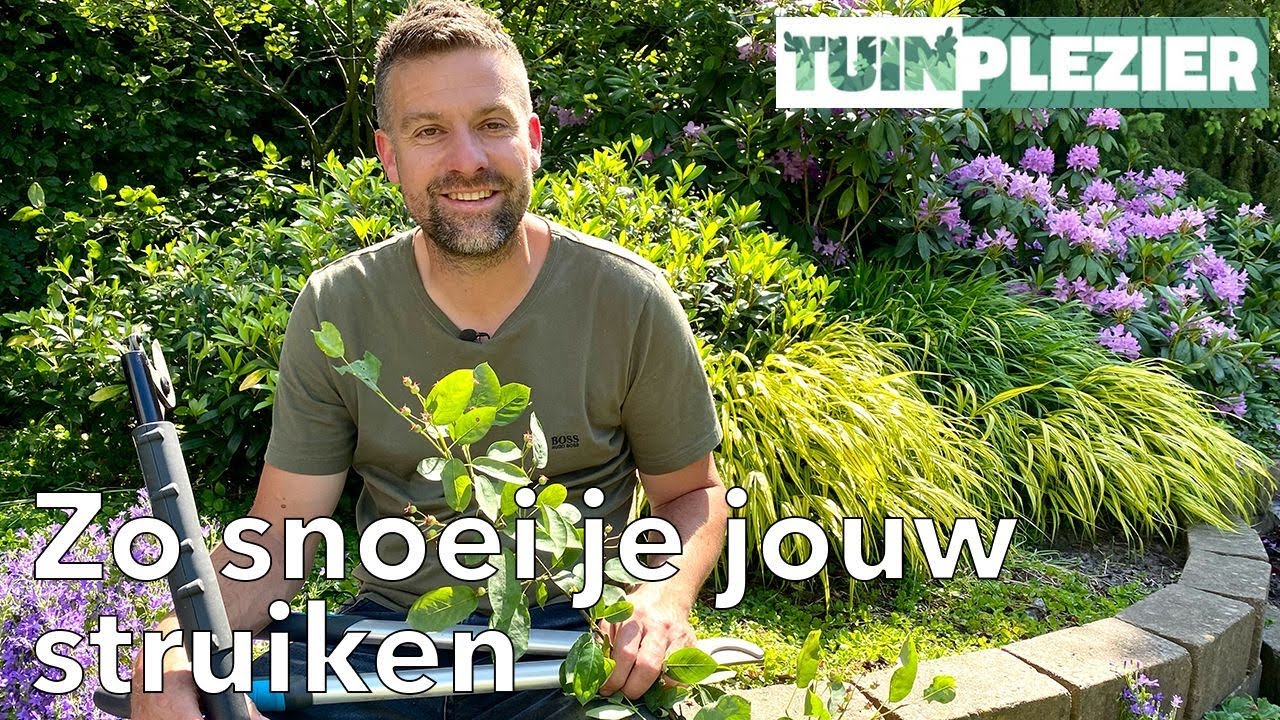 Snoeien van heesters | Struiken snoeien | Tuinplezier