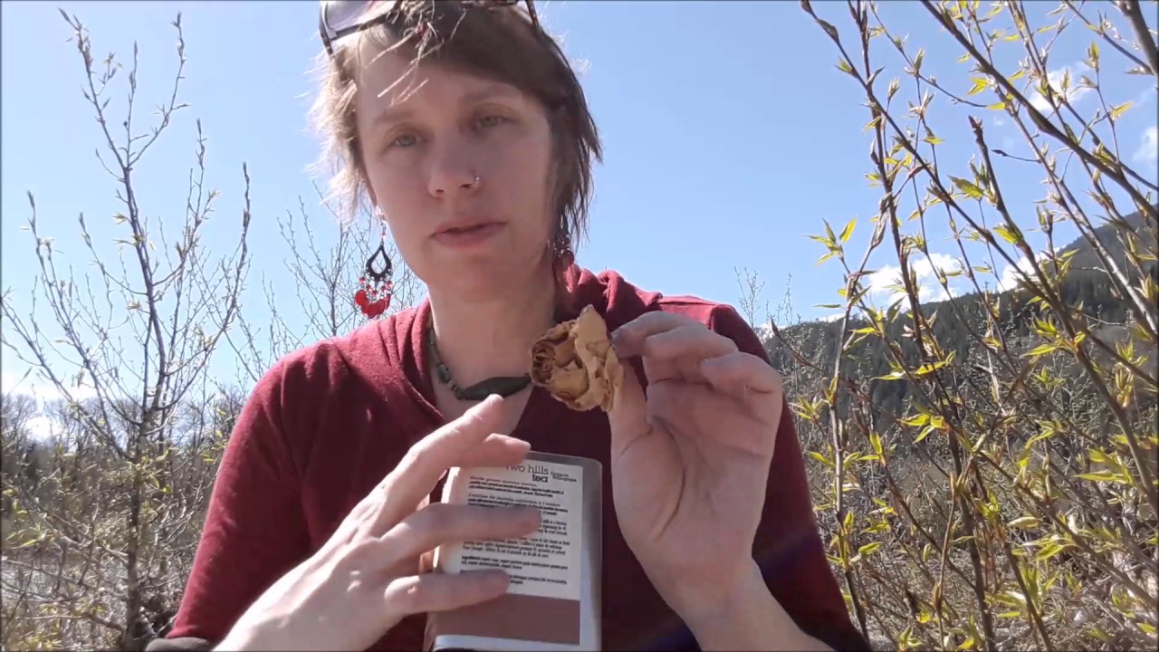 Curious about making offerings?