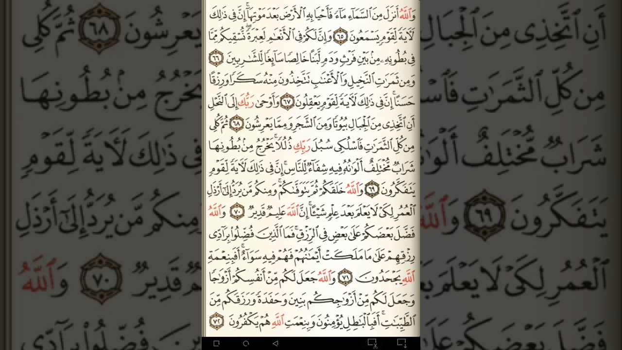ماهر المعيقلي سورة النحل مكتوبة صفحة 274 مصحف المدينة المنورة جودة عالية