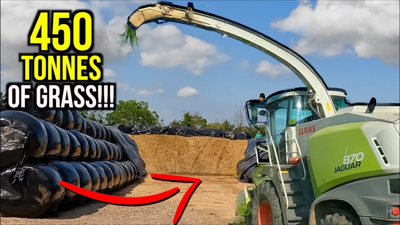 450 Tonnes Of GRASS SILAGE! Best Year For Grass YET!! 2024