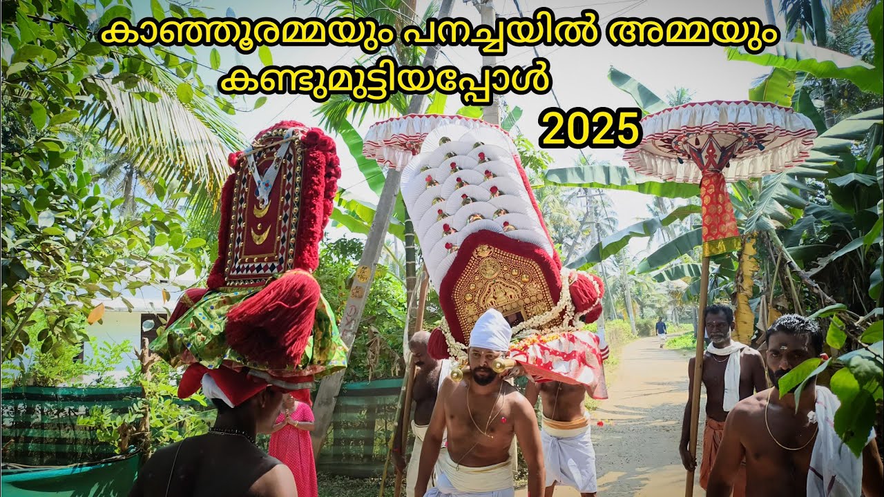 പറയെടുപ്പുവേളയിൽ കാഞ്ഞൂരമ്മയും പനച്ചയിൽ അമ്മയും കണ്ടുമുട്ടിയപ്പോൾ|#onattukara|2025