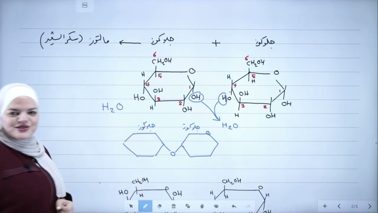 أ شرين ابو السمن أحياء  حصة بعنوان الحصة 2 السكريات الثنائية و المتعددة