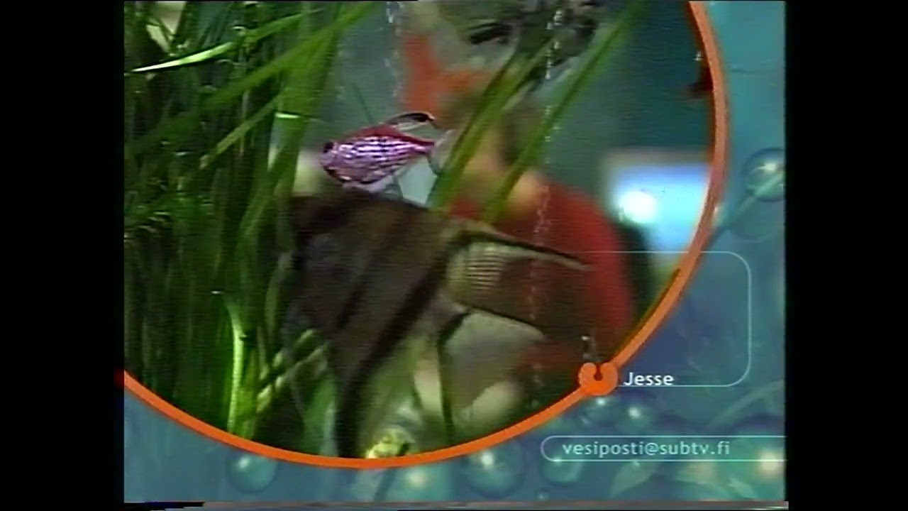 Subtv 24.06.2004 Vesiposti / Ohjelmatiedot
