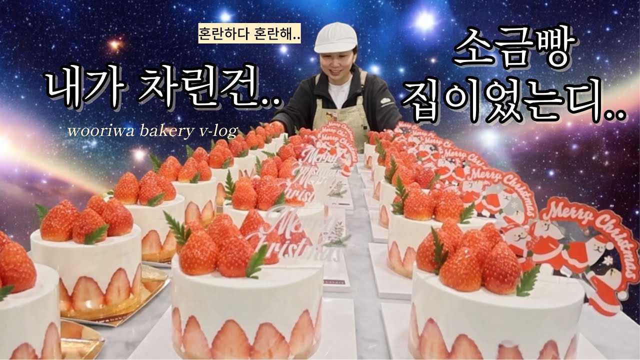 딸기케이크에 파묻힌 소금빵집 12월 브이로그 bakery vlog
