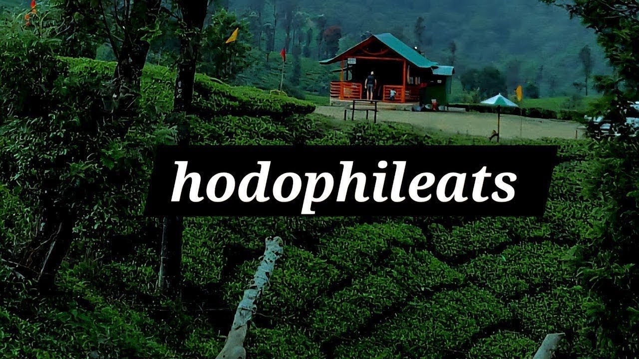 Live streaming of Hodophileats