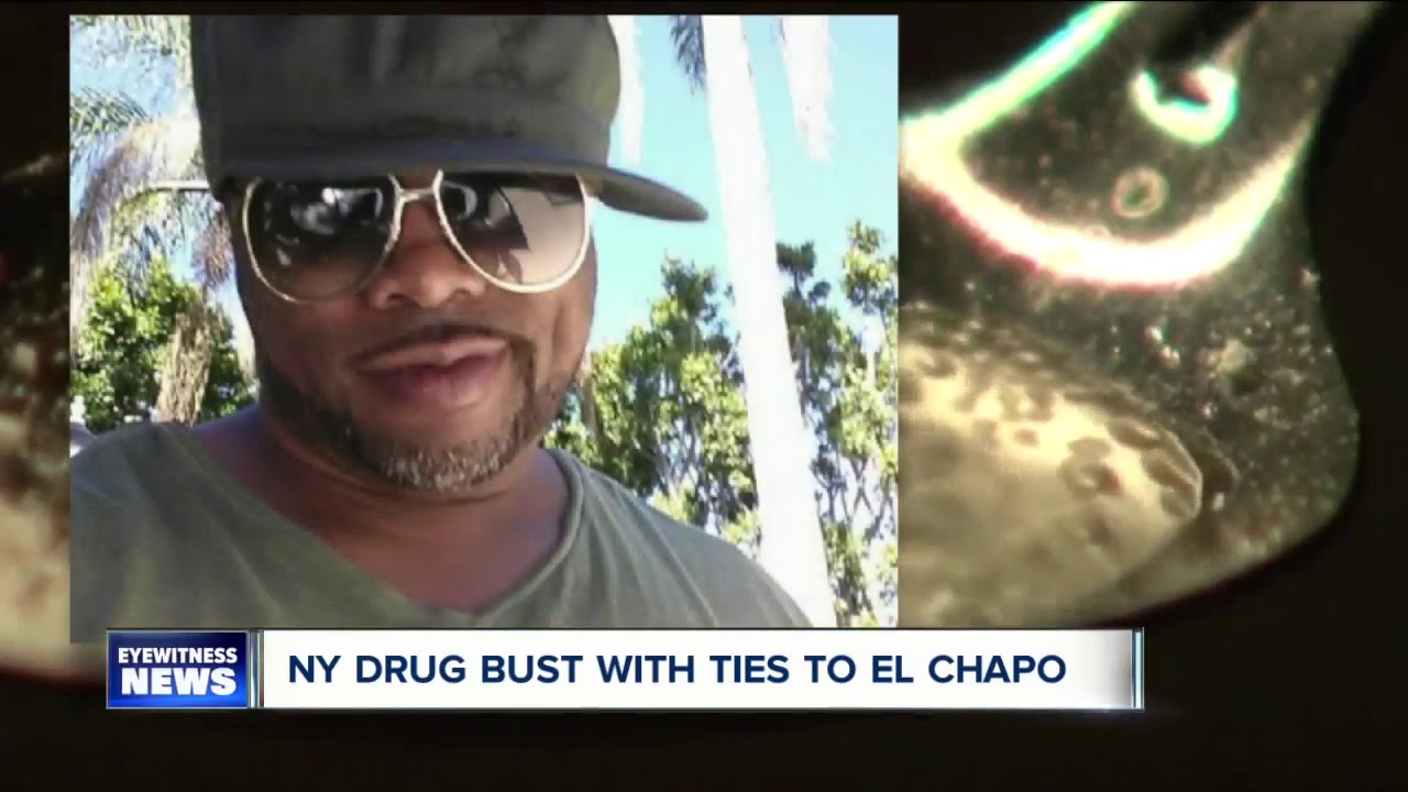You can thank sea cucumbers for one of Buffalo's largest drug bust