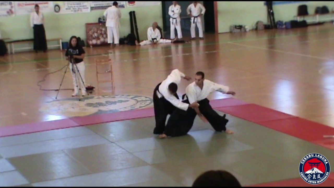 Exámen de Aikido César Febles 6º Dan - RFEJYDA - Mayo 2012
