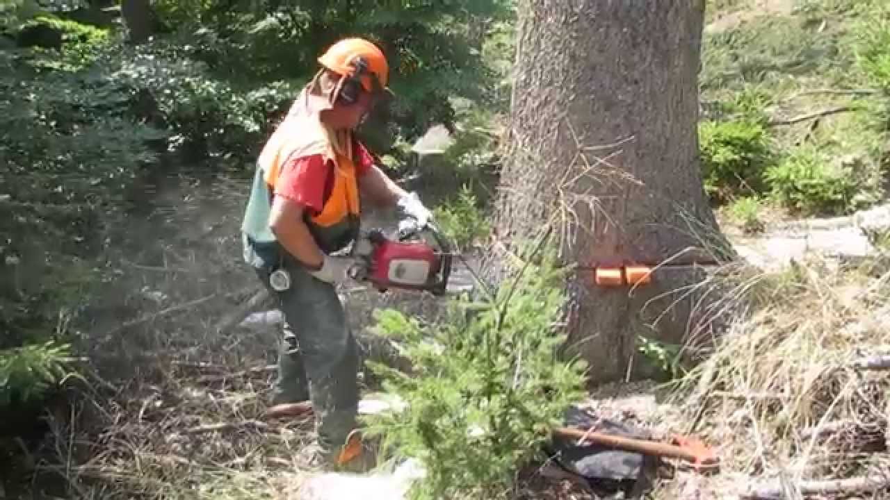 Stihl-Contra 1959