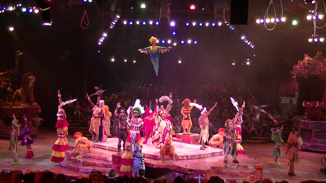 Festival of the Lion King 2/16/2017