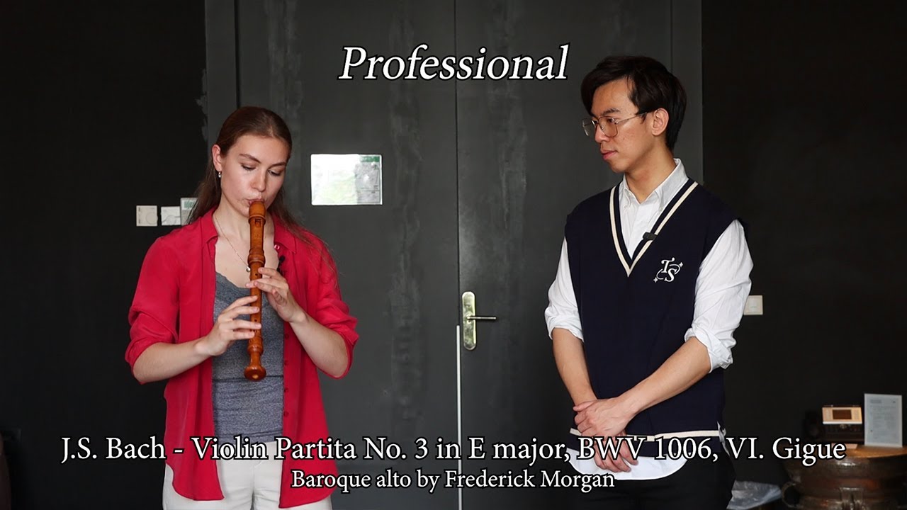 Professional vs Beginner Recorder