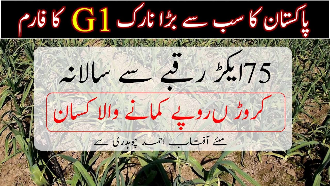 Pakistan's biggest and modern NARC G1 farm|How to maximize agriculture profit|Modern agriculture