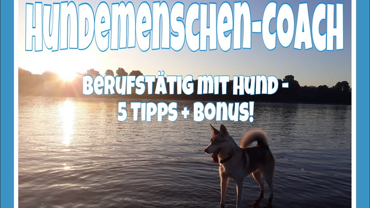 Berufst&auml;tig mit Hund - 5 Tipps + Bonus!
